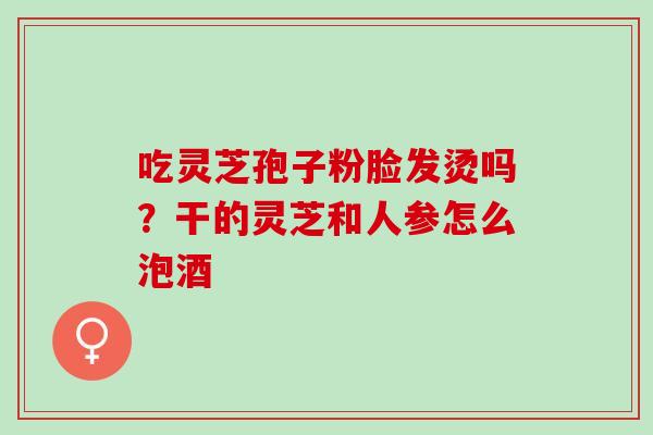 吃灵芝孢子粉脸发烫吗？干的灵芝和人参怎么泡酒