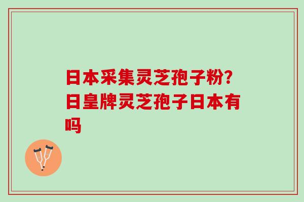 日本采集灵芝孢子粉？日皇牌灵芝孢子日本有吗