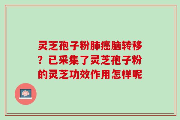 灵芝孢子粉肺癌脑转移？已采集了灵芝孢子粉的灵芝功效作用怎样呢