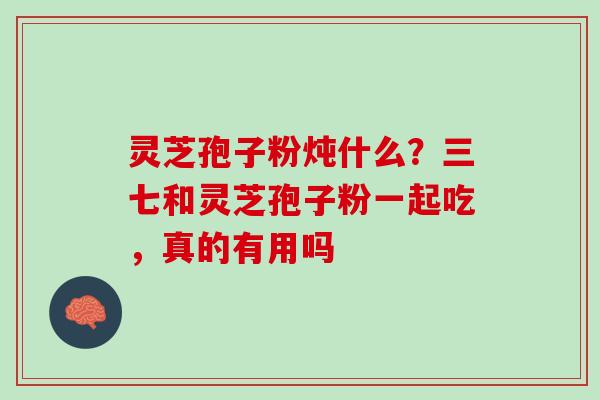 灵芝孢子粉炖什么？三七和灵芝孢子粉一起吃，真的有用吗