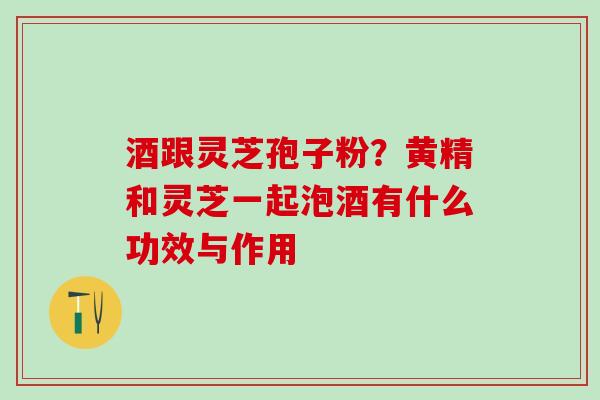 酒跟灵芝孢子粉?黄精和灵芝一起泡酒有什么功效与作用 酒跟灵芝孢子粉?黄精和灵芝一起泡酒有什么功效与作用