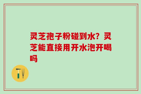 灵芝孢子粉碰到水?灵芝能直接用开水泡开喝吗 灵芝孢子粉碰到水?灵芝能直接用开水泡开喝吗