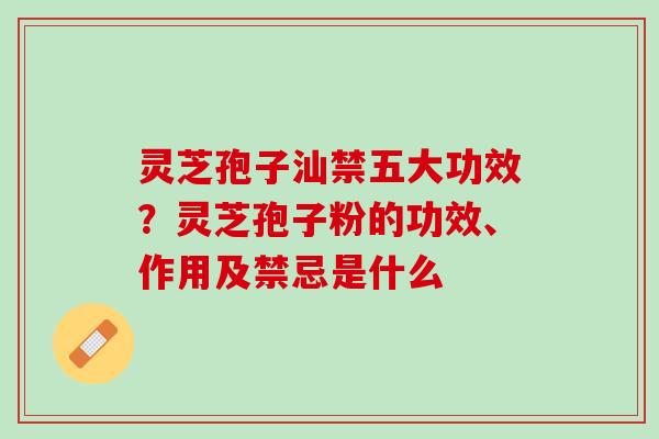 灵芝孢子汕禁五大功效？灵芝孢子粉的功效、作用及禁忌是什么
