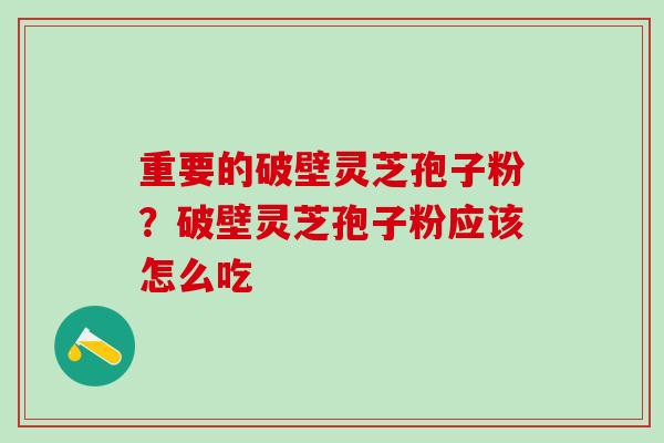 重要的破壁灵芝孢子粉?破壁灵芝孢子粉应该怎么吃 重要的破壁灵芝孢子粉?破壁灵芝孢子粉应该怎么吃