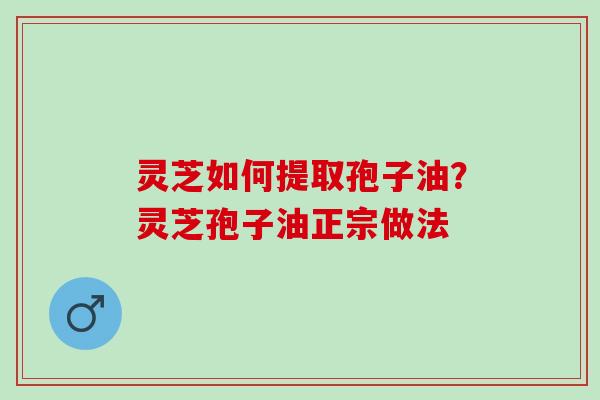 灵芝如何提取孢子油？灵芝孢子油正宗做法