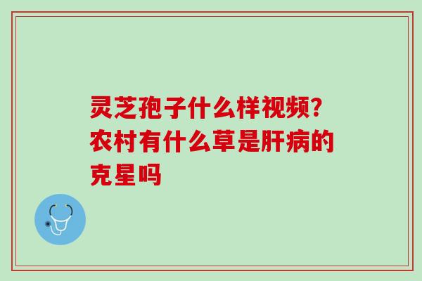 灵芝孢子什么样视频?农村有什么草是的克星吗 灵芝孢子什么样视频?农村有什么草是的克星吗
