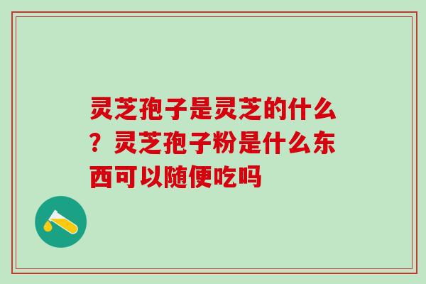 灵芝孢子是灵芝的什么？灵芝孢子粉是什么东西可以随便吃吗