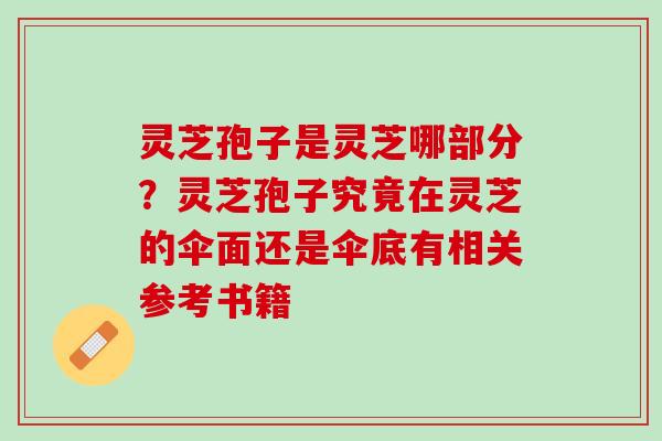 灵芝孢子是灵芝哪部分？灵芝孢子究竟在灵芝的伞面还是伞底有相关参考书籍