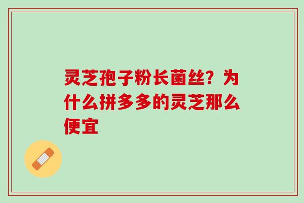 灵芝孢子粉长菌丝？为什么拼多多的灵芝那么便宜