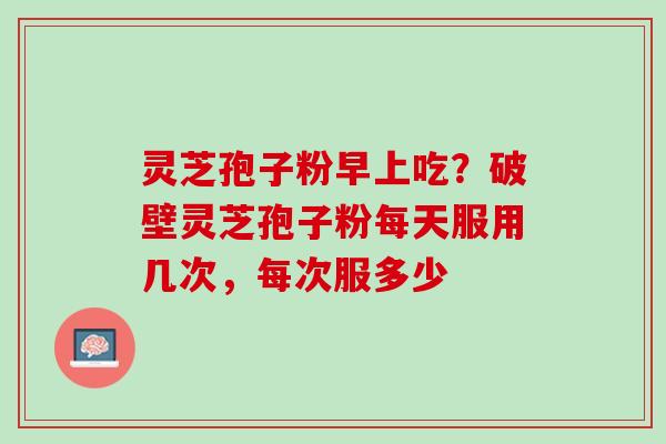 灵芝孢子粉早上吃？破壁灵芝孢子粉每天服用几次，每次服多少