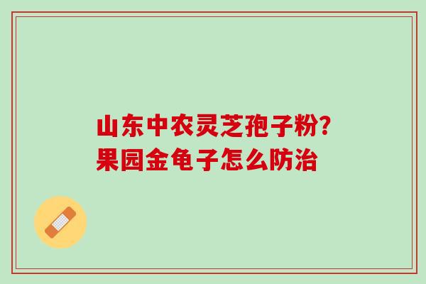 山东中农灵芝孢子粉？果园金龟子怎么防治