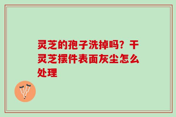 灵芝的孢子洗掉吗？干灵芝摆件表面灰尘怎么处理