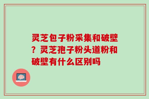 灵芝包子粉采集和破壁?灵芝孢子粉头道粉和破壁有什么区别吗 灵芝包子粉采集和破壁?灵芝孢子粉头道粉和破壁有什么区别吗