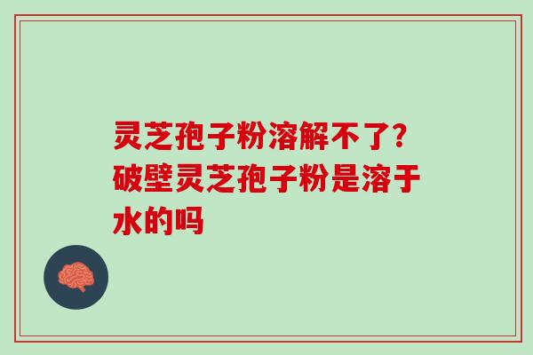 灵芝孢子粉溶解不了？破壁灵芝孢子粉是溶于水的吗