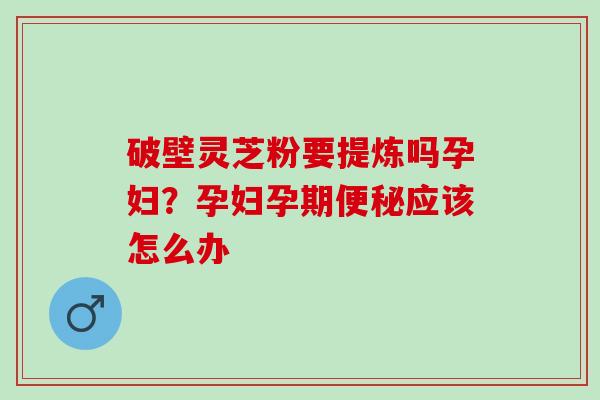 破壁灵芝粉要提炼吗孕妇？孕妇孕期便秘应该怎么办