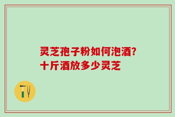 灵芝孢子粉如何泡酒？十斤酒放多少灵芝