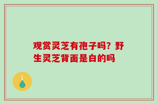 观赏灵芝有孢子吗？野生灵芝背面是白的吗