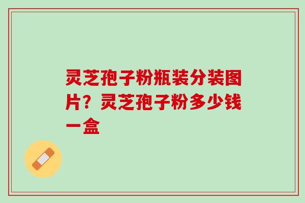 灵芝孢子粉瓶装分装图片？灵芝孢子粉多少钱一盒