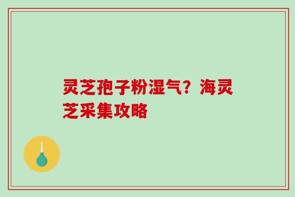 灵芝孢子粉湿气？海灵芝采集攻略