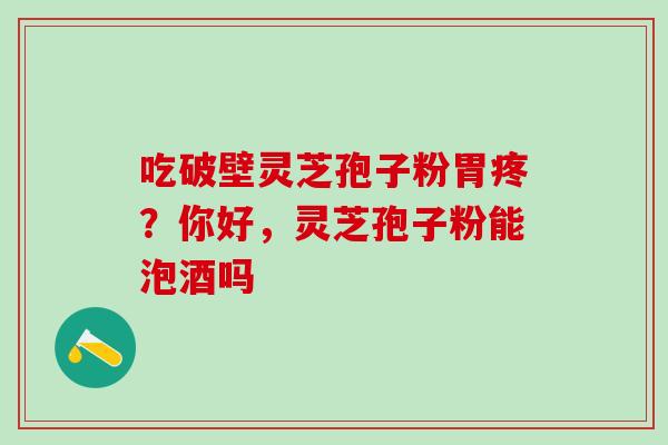 吃破壁灵芝孢子粉胃疼？你好，灵芝孢子粉能泡酒吗