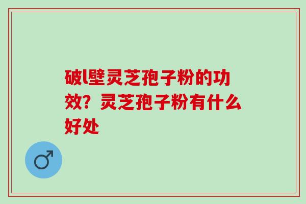 破l壁灵芝孢子粉的功效？灵芝孢子粉有什么好处