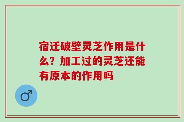 宿迁破壁灵芝作用是什么？加工过的灵芝还能有原本的作用吗