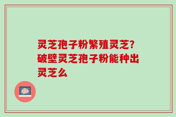 灵芝孢子粉繁殖灵芝？破壁灵芝孢子粉能种出灵芝么