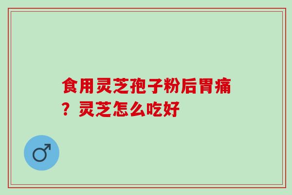 食用灵芝孢子粉后胃痛？灵芝怎么吃好