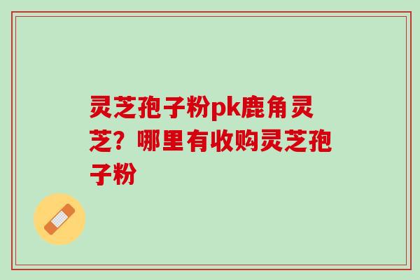 灵芝孢子粉pk鹿角灵芝？哪里有收购灵芝孢子粉