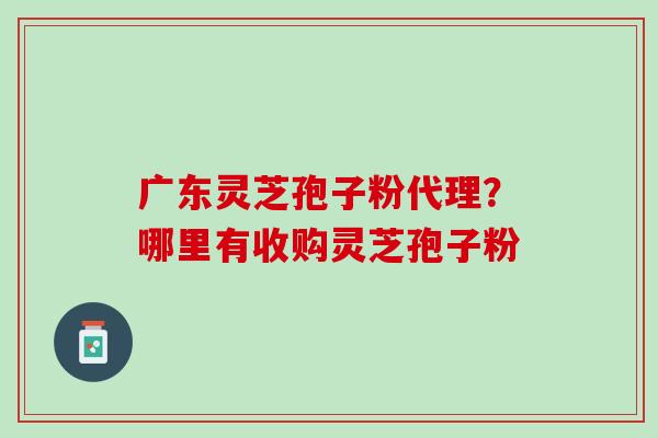 广东灵芝孢子粉代理？哪里有收购灵芝孢子粉