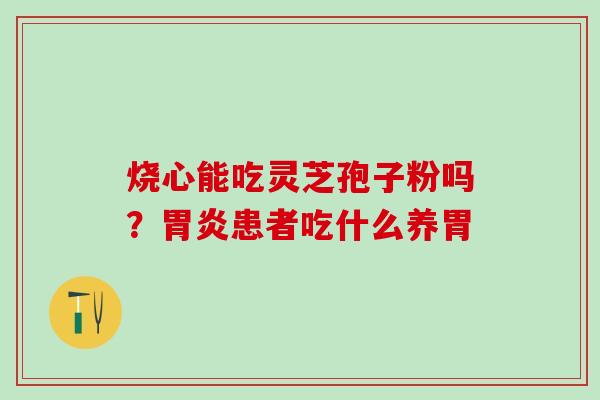 烧心能吃灵芝孢子粉吗？患者吃什么养胃
