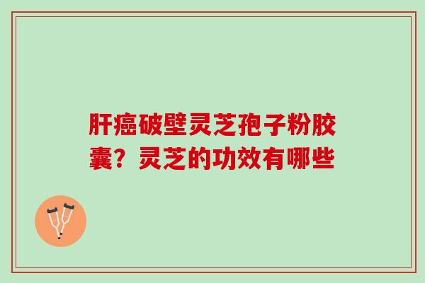 肝癌破壁灵芝孢子粉胶囊？灵芝的功效有哪些