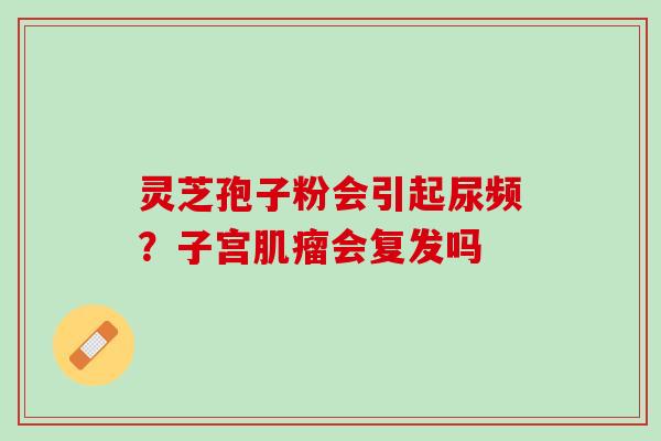 灵芝孢子粉会引起尿频？子宫肌瘤会复发吗
