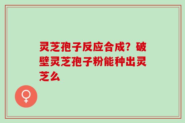 灵芝孢子反应合成?破壁灵芝孢子粉能种出灵芝么 灵芝孢子反应合成?破壁灵芝孢子粉能种出灵芝么