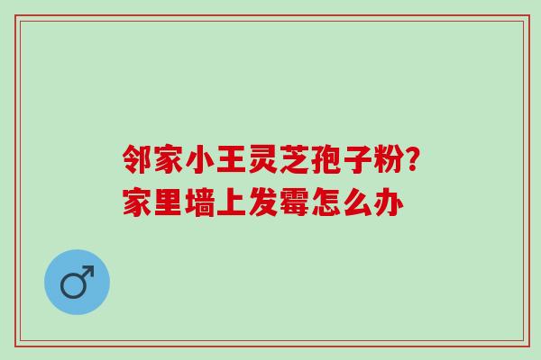 邻家小王灵芝孢子粉？家里墙上发霉怎么办