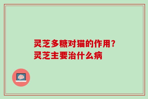 灵芝多糖对猫的作用？灵芝主要治什么病