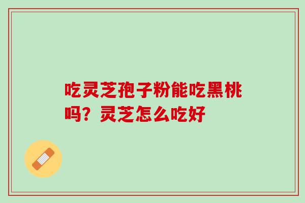 吃灵芝孢子粉能吃黑桃吗？灵芝怎么吃好
