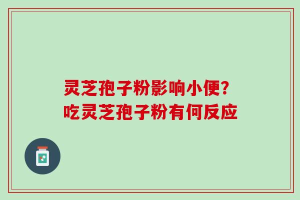 灵芝孢子粉影响小便？吃灵芝孢子粉有何反应