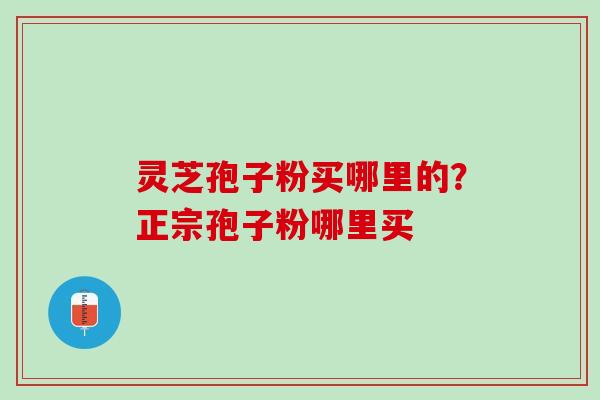 灵芝孢子粉买哪里的？正宗孢子粉哪里买