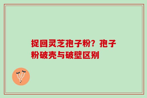 捉回灵芝孢子粉?孢子粉破壳与破壁区别 捉回灵芝孢子粉?孢子粉破壳与破壁区别