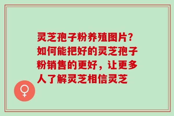 灵芝孢子粉养殖图片？如何能把好的灵芝孢子粉销售的更好，让更多人了解灵芝相信灵芝