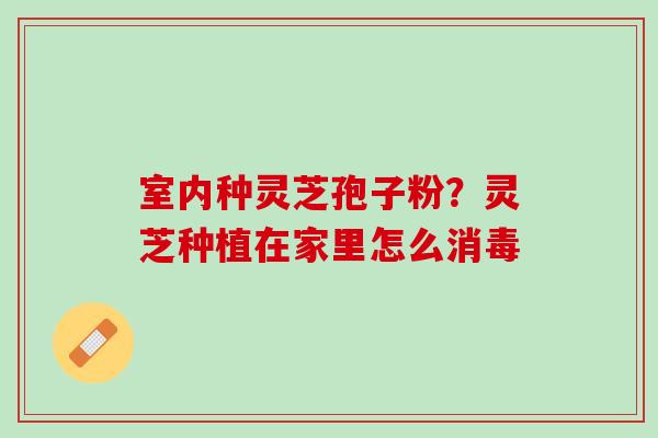 室内种灵芝孢子粉？灵芝种植在家里怎么消毒