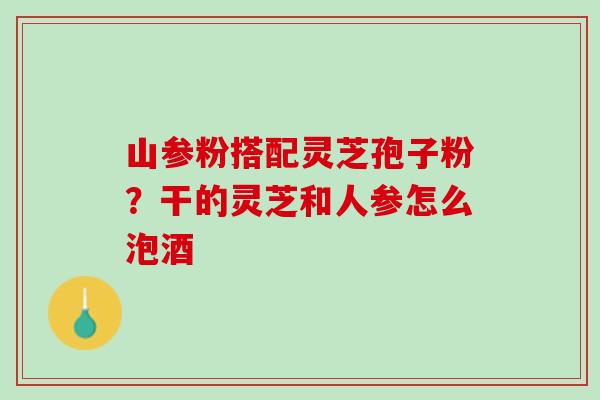 山参粉搭配灵芝孢子粉？干的灵芝和人参怎么泡酒
