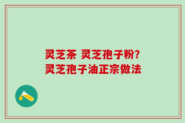 灵芝茶 灵芝孢子粉？灵芝孢子油正宗做法