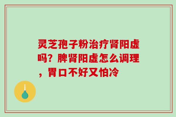 灵芝孢子粉治疗肾阳虚吗？脾肾阳虚怎么调理，胃口不好又怕冷