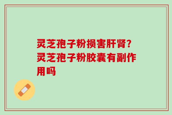 灵芝孢子粉损害肝肾？灵芝孢子粉胶囊有副作用吗