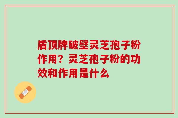 盾顶牌破壁灵芝孢子粉作用？灵芝孢子粉的功效和作用是什么