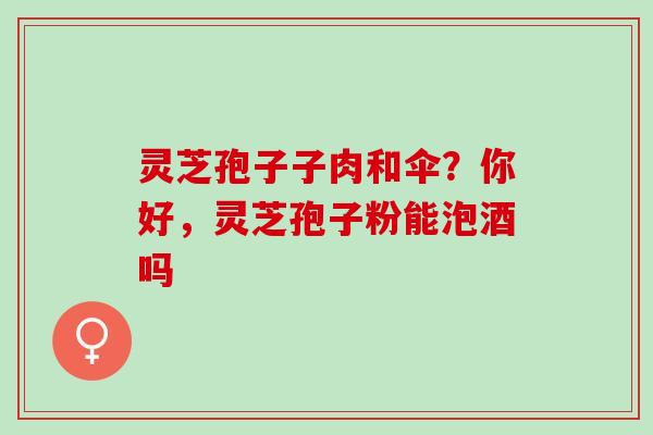 灵芝孢子子肉和伞？你好，灵芝孢子粉能泡酒吗