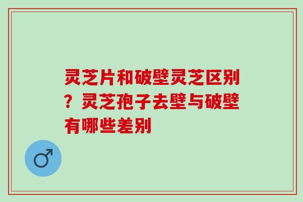 灵芝片和破壁灵芝区别？灵芝孢子去壁与破壁有哪些差别