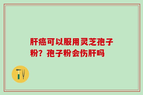 可以服用灵芝孢子粉？孢子粉会伤吗
